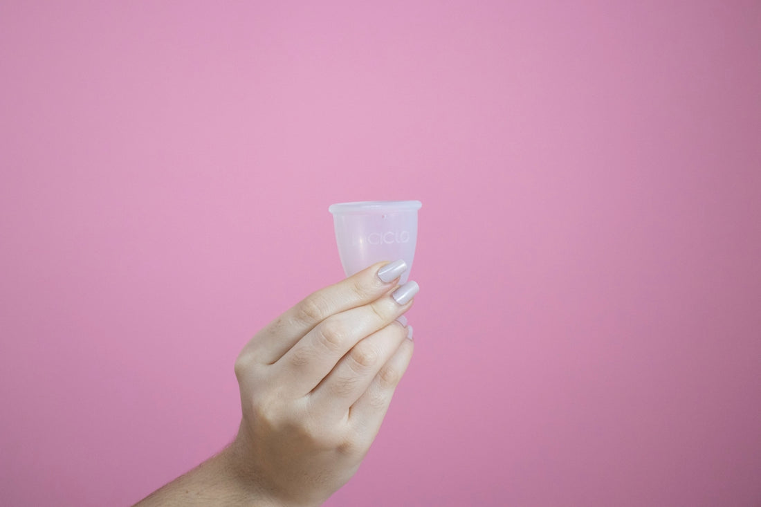 person holding white plastic cup