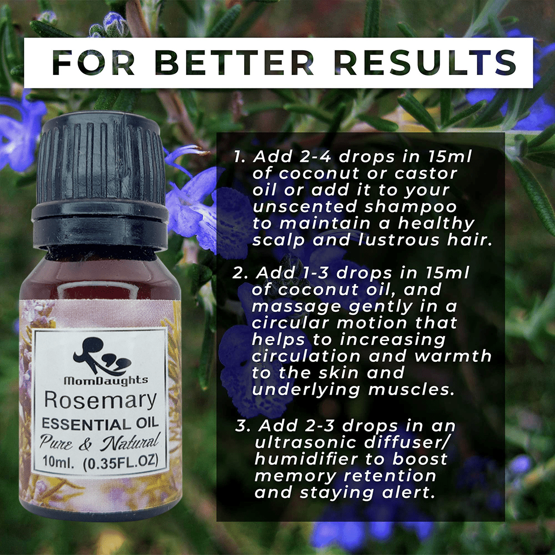 Revitalize and Refresh Rosemary 100% Pure & Natural Essential Oil Renewed Energy and Focus - MomDaughts